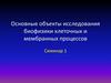 Основные объекты исследования биофизики клеточных и мембранных процессов. Лекция 3-1