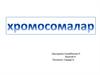 Хромосомалар. Молекулалық биология