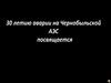 30-летию аварии на Чернобыльской АЭС посвящается