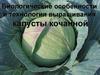 Биологические особенности и технология выращивания капусты кочанной