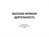 Высшая нервная деятельность. Лекция № 28