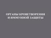 Органы кроветворения и иммунной защиты. Гистологическое строение