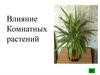Влияние комнатных растений