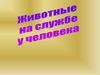 Животные на службе у человека