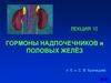 Гормоны надпочечников и половых желёз