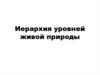Иерархия уровней живой природы. Определение экосистемы. (Глава 3)