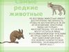 Самые редкие виды животные