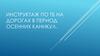 Инструктаж по технике безопасности на дорогах в период осенних каникул