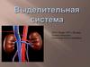 Выделительная система