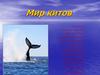 Мир китов