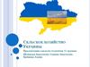 Сельское хозяйство Украины