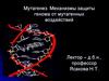 Мутагенез. Механизмы защиты генома от мутагенных воздействий