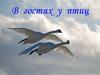 В гостях у птиц
