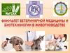 ИГСХА им. Академика Д.К. Беляева, факультет ветеринарной медицины и биотехнологий в животноводстве приглашает абитуриентов