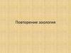 Зоология. Урок повторения