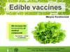 Edible vaccines