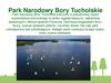 Park Narodowy Bory Tucholskie