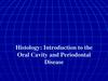 Introduction to the Oral Cavity and Periodontal Disease