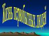 Жизнь первобытных людей
