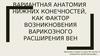 Вариантная анатомия нижних конечностей, как фактор возникновения варикозного расширения вен