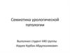 Семиотика урологической патологии