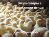 Эмульгаторы в кормлении птицы. ООО «Протеин плюс»
