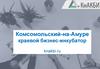 Комсомольский-на-Амуре краевой бизнес-инкубатор