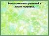 Роль комнатных растений в жизни человека