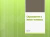 Образование в жизни человека (урок 15)