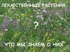 Лекарственные растения: что мы знаем о них?