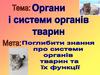 Органи і системи органів тварин