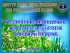 Безопасное поведение на водных объектах в летний период
