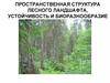 Пространственная структура и биоразнообразие