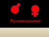 Размножение.  Половая система