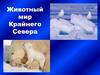 Животный мир крайнего Севера