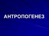 Антропогенез