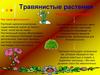 Травянистые растения