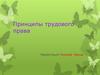 Принципы трудового права