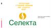 Страховая Компания ООО «Селекта»