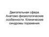 Двигательная сфера. Анатомо-физиологические особенности. Клинические синдромы поражения