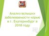 Анализ вспышки заболеваемости корью в г. Екатеринбург в 2018 году