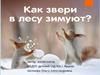 Как звери в лесу зимуют