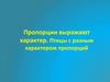 Пропорции выражают характер. Птицы с разным характером пропорций