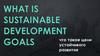 What is sustainable development goals