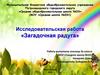 Исследовательская работа «Загадочная радуга»