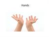 Hands