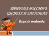Природа России в цифрах и загадках