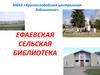 Ефаевская сельская библиотека