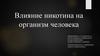Влияние никотина на организм человека