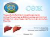 Амбулатория жағдайында сарғаю кезіндегі рацоналды дифференциалды диогностика алгорритмі